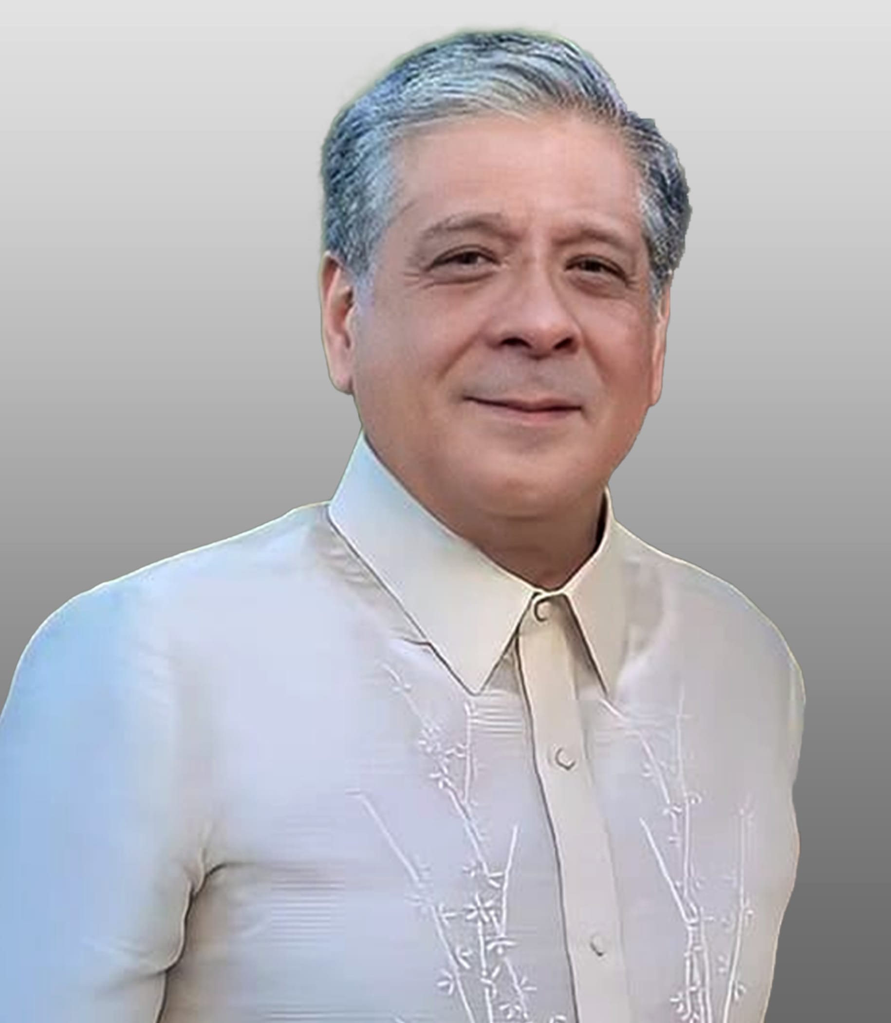 Who We Are 2 pfp antonio lagdameo jr Partido Federal ng Pilipinas